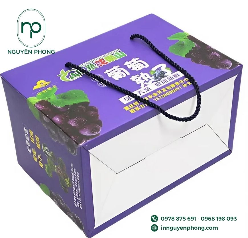 mau-tui-giay-di-kem-thung-carton-dung-nho